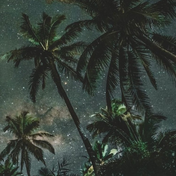 Meet your Posher, Frugal - Picture 1 of 1